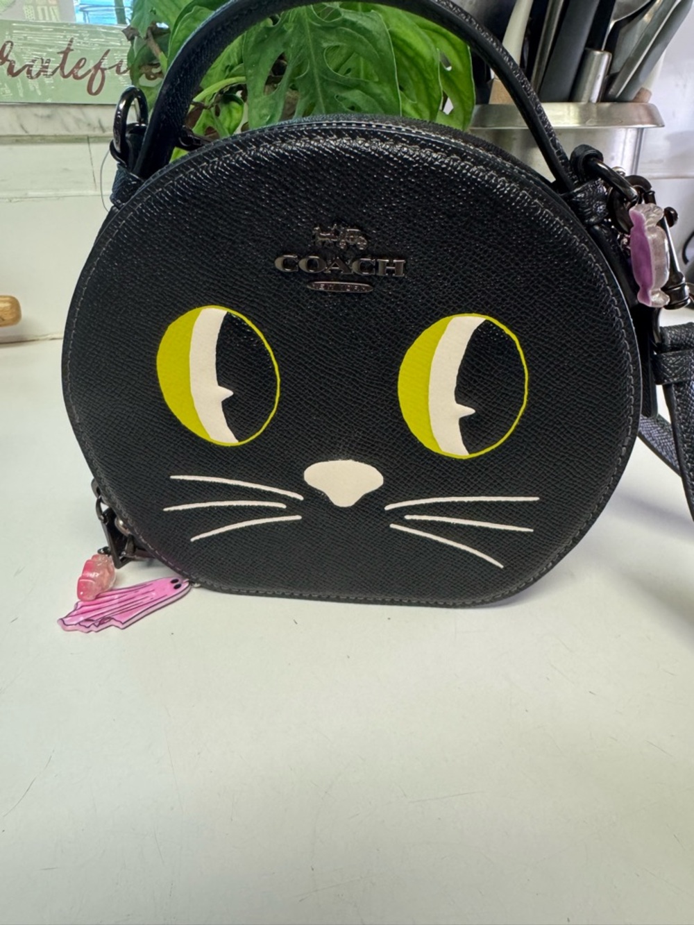 Coach Cat Crossbody “The Other Cat”